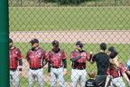 IMG 7061